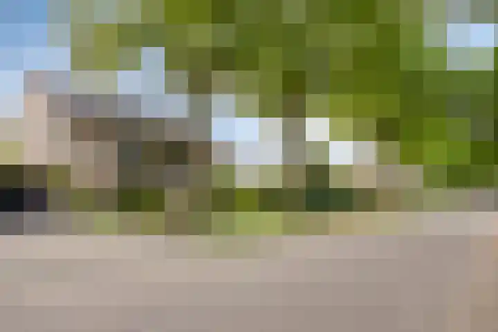 Gentiaanstraat 19 Maarheeze thumbnail 5