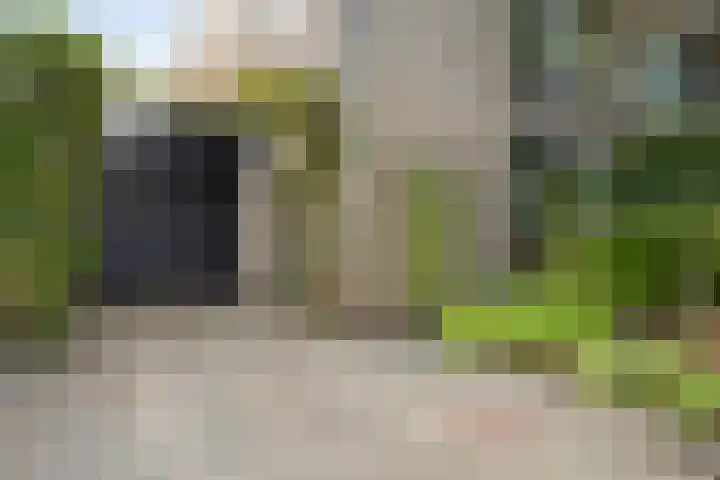 Gentiaanstraat 19 Maarheeze thumbnail 7