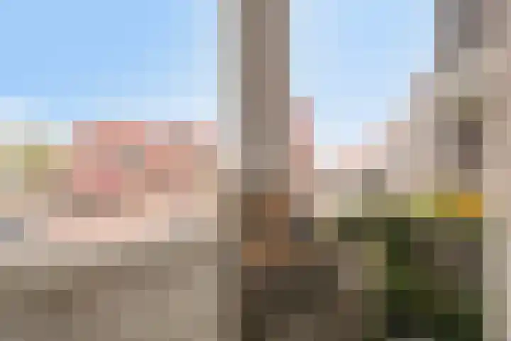Gentiaanstraat 20 Amsterdam thumbnail 12