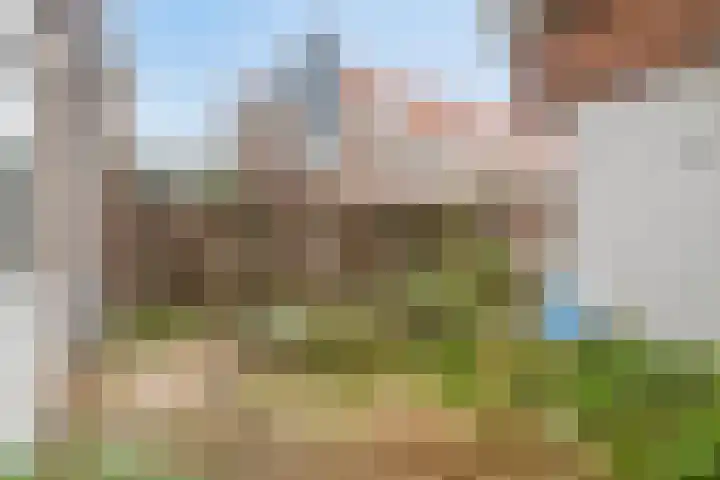 Gentiaanstraat 20 Amsterdam thumbnail 15