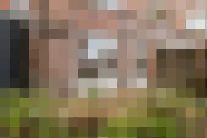 Gentiaanstraat 20 Amsterdam thumbnail 16