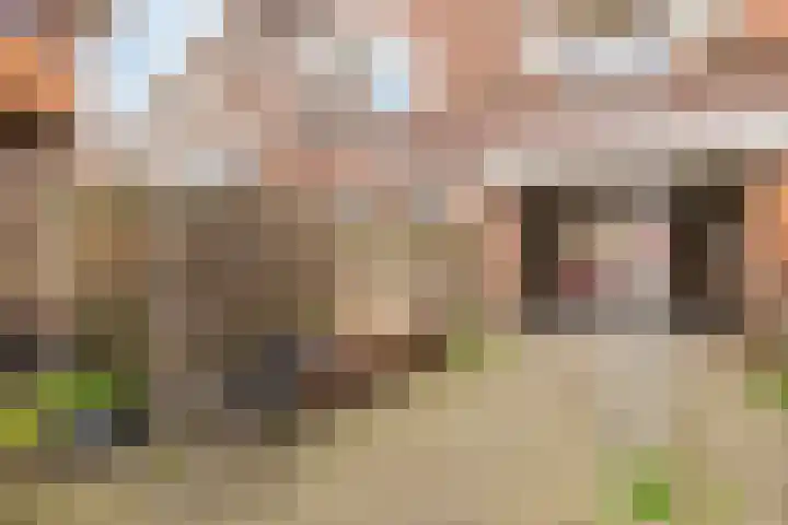 Gentiaanstraat 20 Amsterdam thumbnail 18