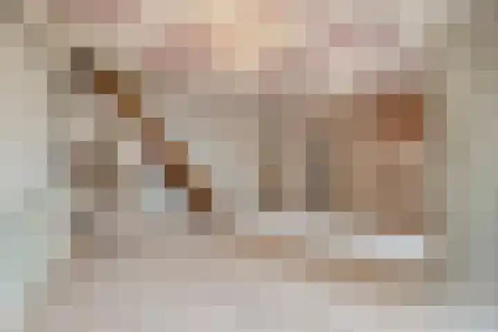 Gentiaanstraat 20 Amsterdam thumbnail 4