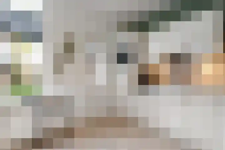 Gentiaanstraat 20 Dedemsvaart thumbnail 14