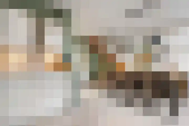 Gentiaanstraat 20 Dedemsvaart thumbnail 15