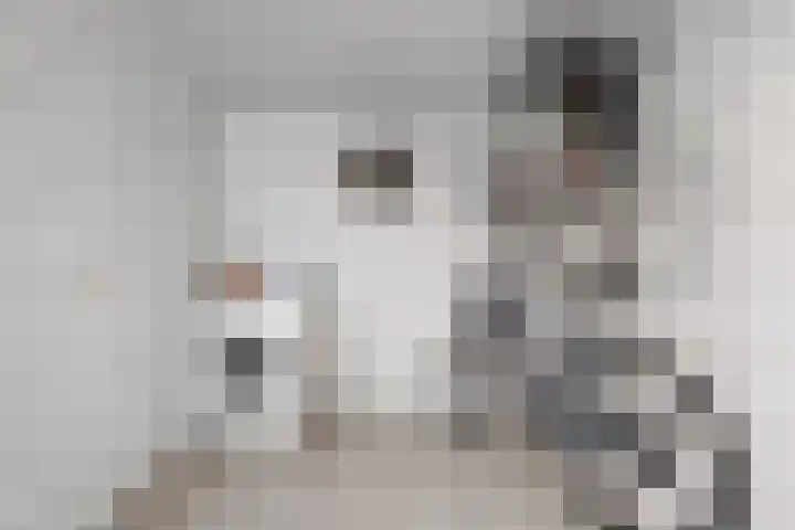 Gentiaanstraat 20 Dedemsvaart thumbnail 18