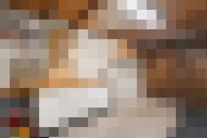 Gentiaanstraat 20 Dedemsvaart thumbnail 20