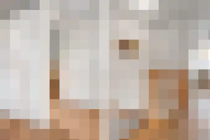 Gentiaanstraat 20 Dedemsvaart thumbnail 25