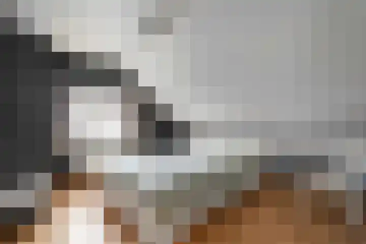 Gentiaanstraat 20 Dedemsvaart thumbnail 26
