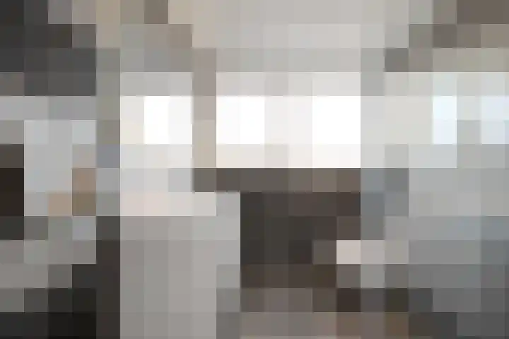 Gentiaanstraat 20 Dedemsvaart thumbnail 32