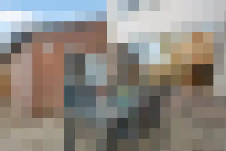Gentiaanstraat 20 Dedemsvaart thumbnail 34