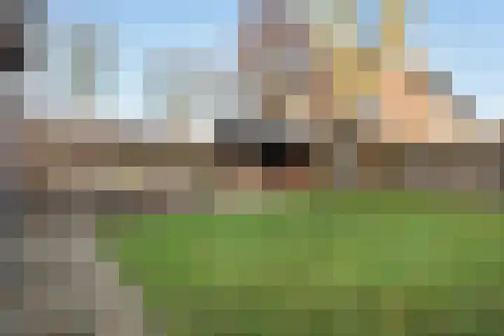 Gentiaanstraat 20 Dedemsvaart thumbnail 35