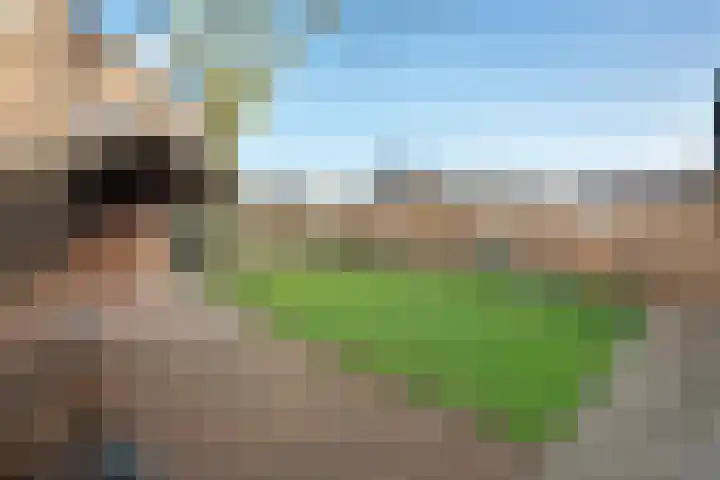 Gentiaanstraat 20 Dedemsvaart thumbnail 36