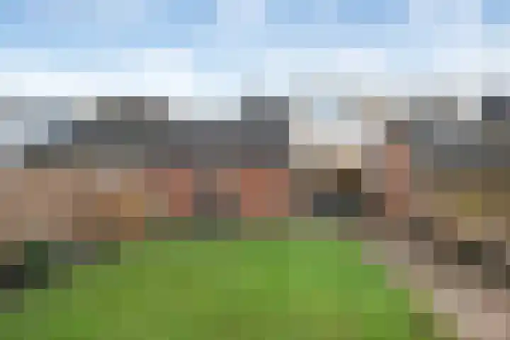 Gentiaanstraat 20 Dedemsvaart thumbnail 37