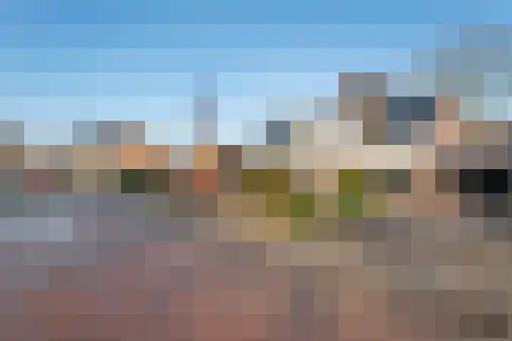 Gentiaanstraat 20 Dedemsvaart thumbnail 38