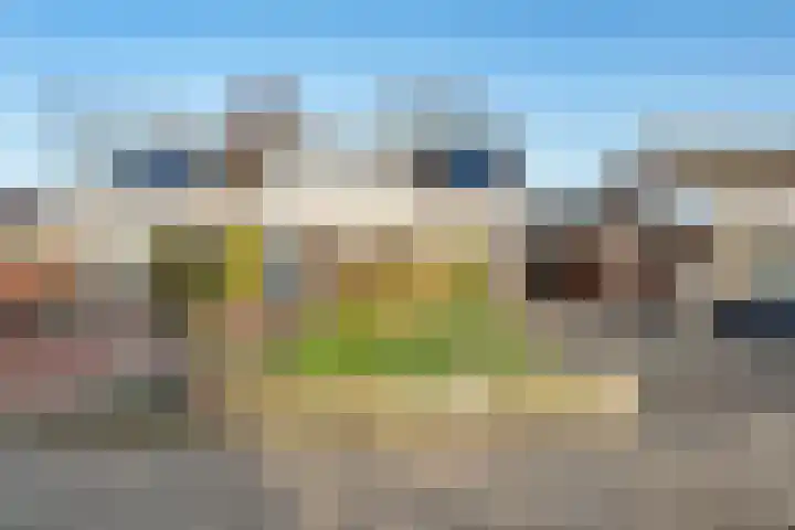 Gentiaanstraat 20 Dedemsvaart thumbnail 39