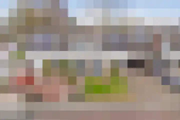 Gentiaanstraat 20 Dedemsvaart thumbnail 4