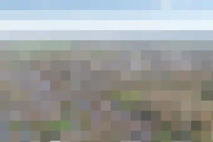 Gentiaanstraat 20 Dedemsvaart thumbnail 40