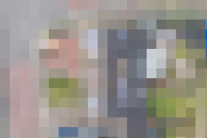 Gentiaanstraat 20 Dedemsvaart thumbnail 41
