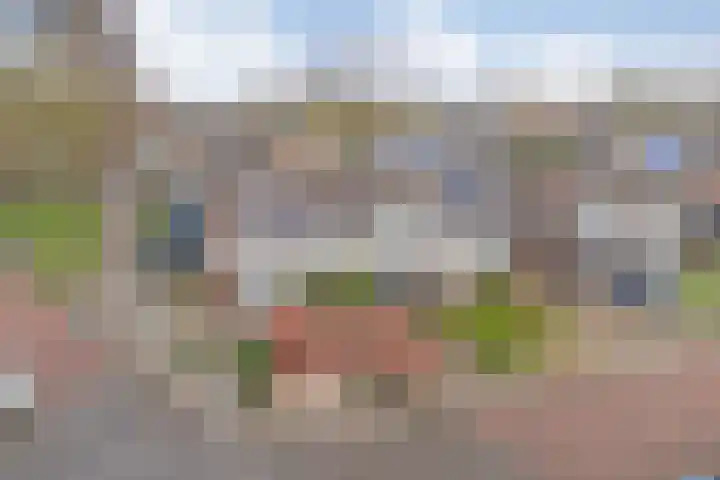 Gentiaanstraat 20 Dedemsvaart thumbnail 42