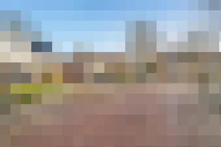 Gentiaanstraat 20 Dedemsvaart thumbnail 45
