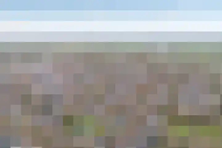 Gentiaanstraat 20 Dedemsvaart thumbnail 46