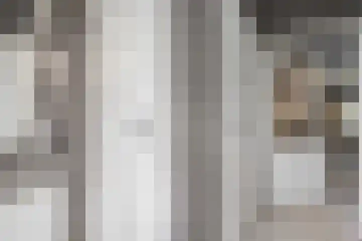 Gentiaanstraat 20 Dedemsvaart thumbnail 6