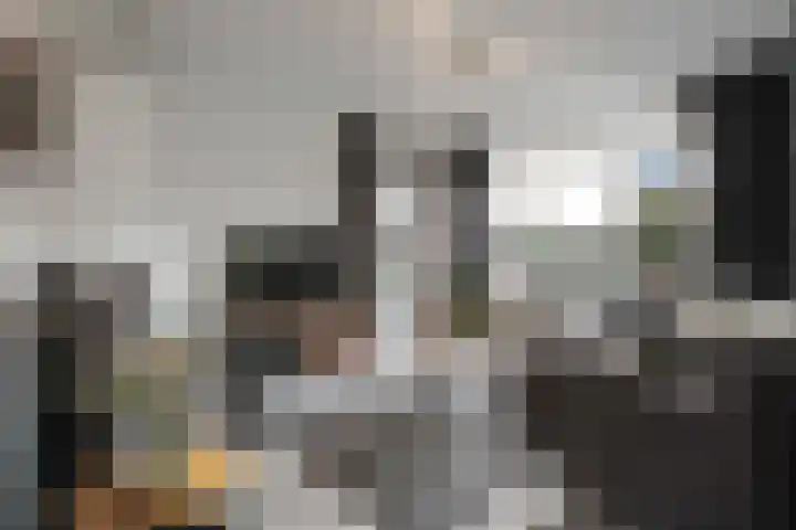 Gentiaanstraat 20 Dedemsvaart thumbnail 7