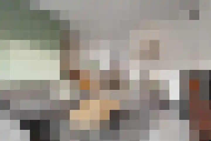 Gentiaanstraat 20 Dedemsvaart thumbnail 8