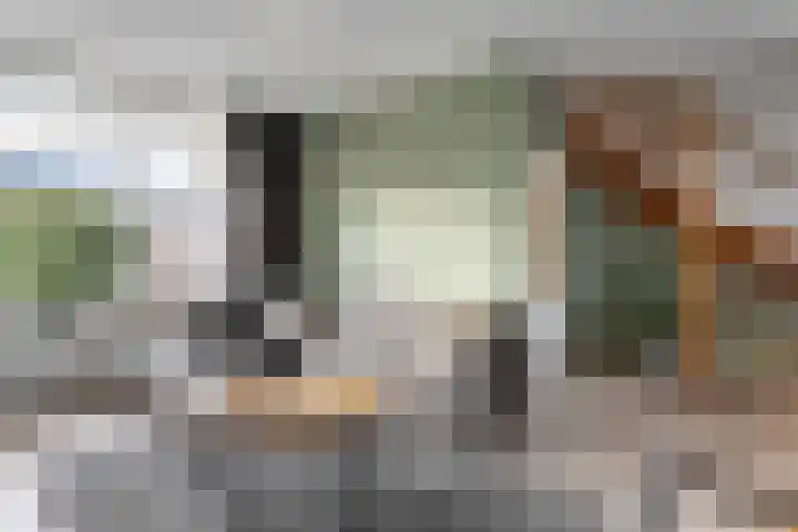Gentiaanstraat 20 Dedemsvaart thumbnail 9