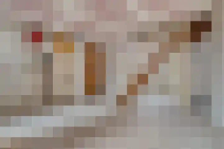 Gentiaanstraat 22 Amsterdam thumbnail 13