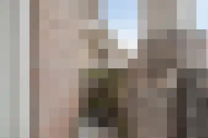 Gentiaanstraat 22 Amsterdam thumbnail 17