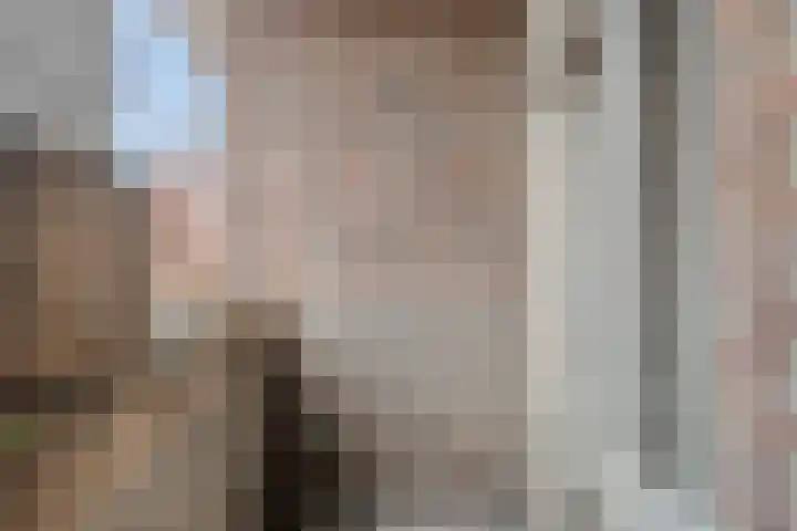 Gentiaanstraat 22 Amsterdam thumbnail 18