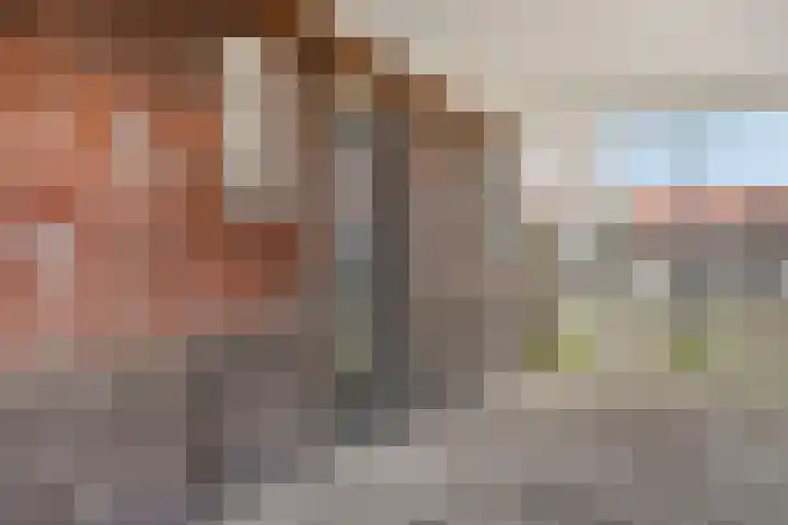 Gentiaanstraat 22 Amsterdam thumbnail 8