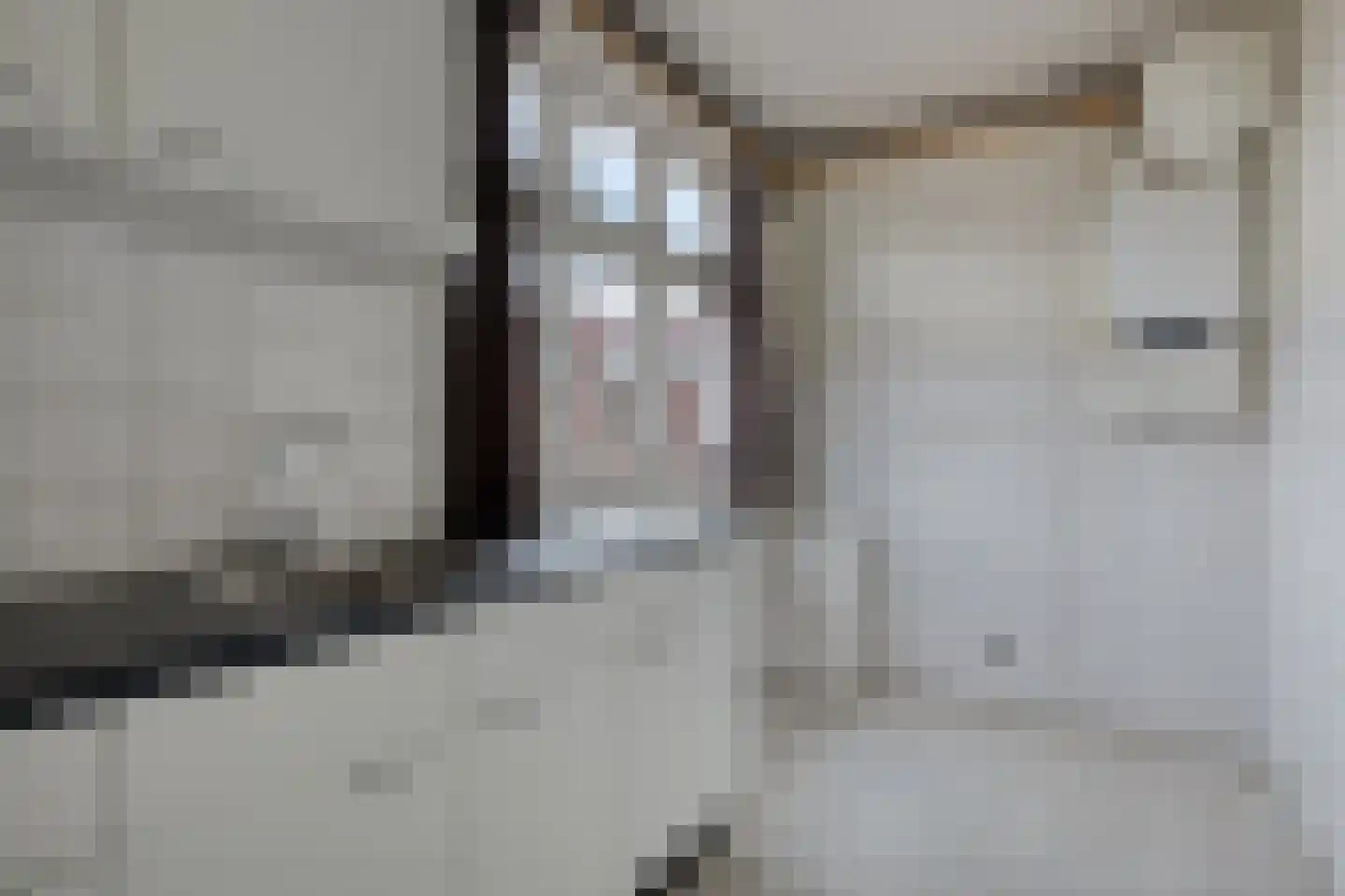 Gentiaanstraat 26 Amsterdam thumbnail 7