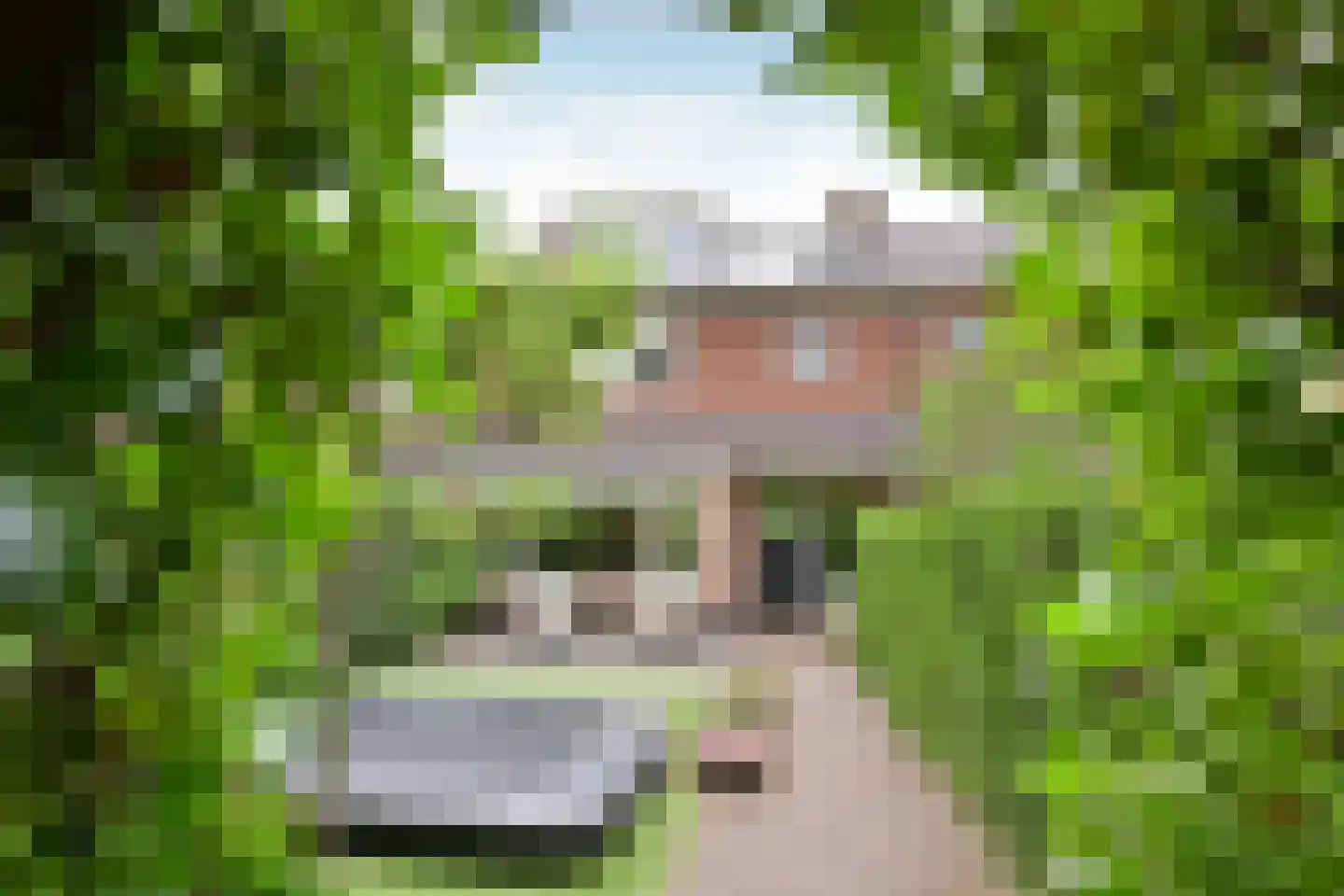 Gentiaanstraat 27 Bussum thumbnail 4