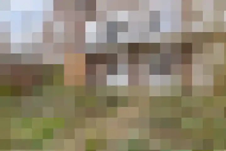 Gentiaanstraat 28 1 Amsterdam thumbnail 26