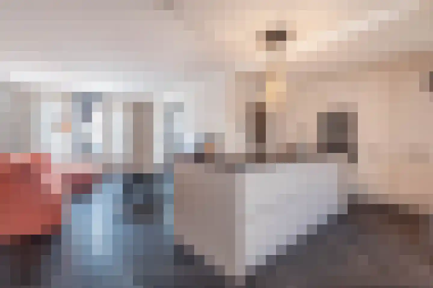 Gentiaanstraat 30 Bergen op Zoom thumbnail 14