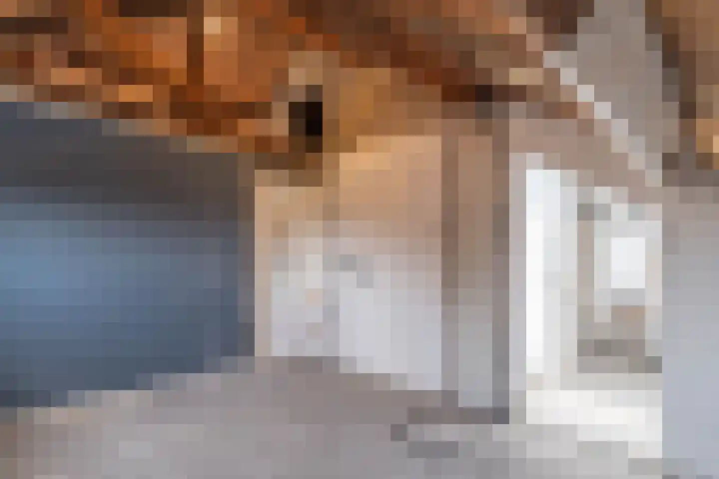 Gentiaanstraat 30 Bergen op Zoom thumbnail 33