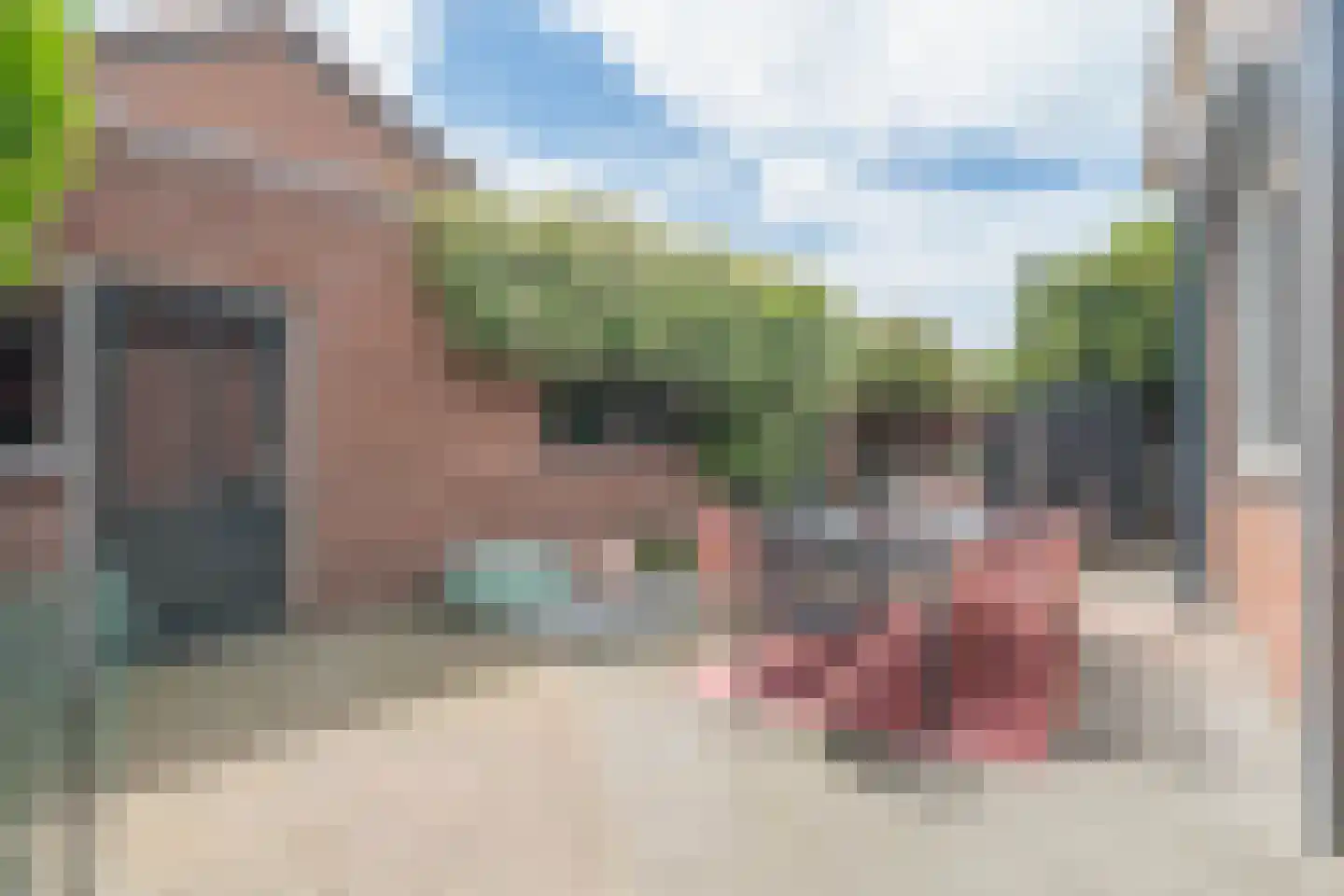 Gentiaanstraat 30 Bergen op Zoom thumbnail 35