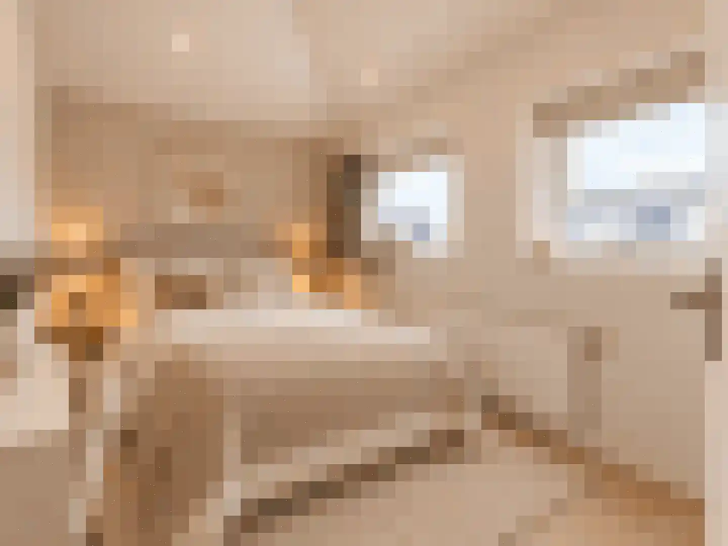 Gentiaanstraat 30 Bergen op Zoom thumbnail 37