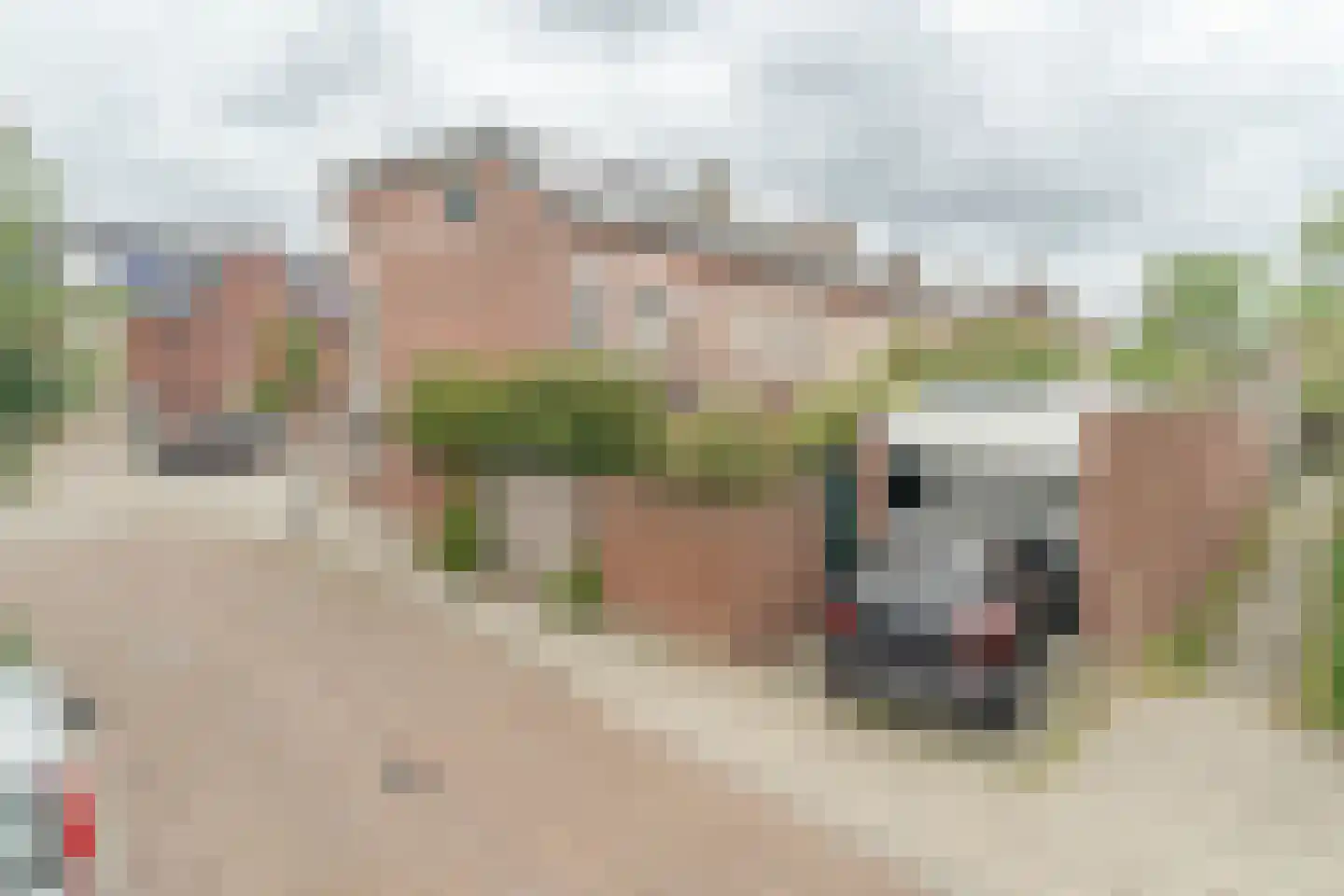 Gentiaanstraat 30 Bergen op Zoom thumbnail 42