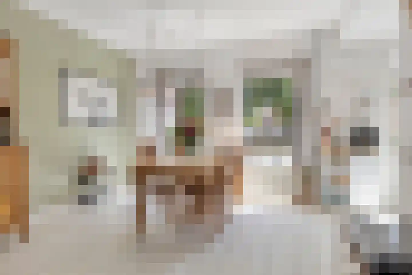 Gentiaanstraat 36 Bergen op Zoom thumbnail 13