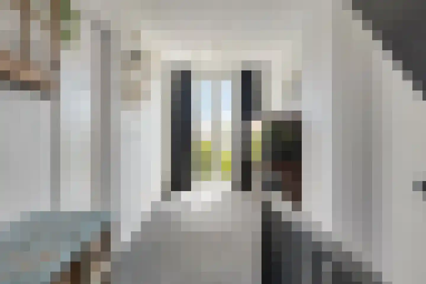 Gentiaanstraat 36 Bergen op Zoom thumbnail 18