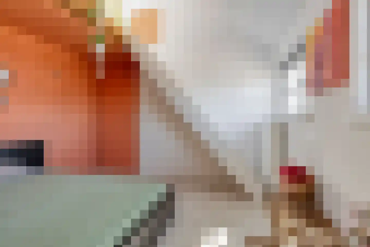 Gentiaanstraat 36 Bergen op Zoom thumbnail 30