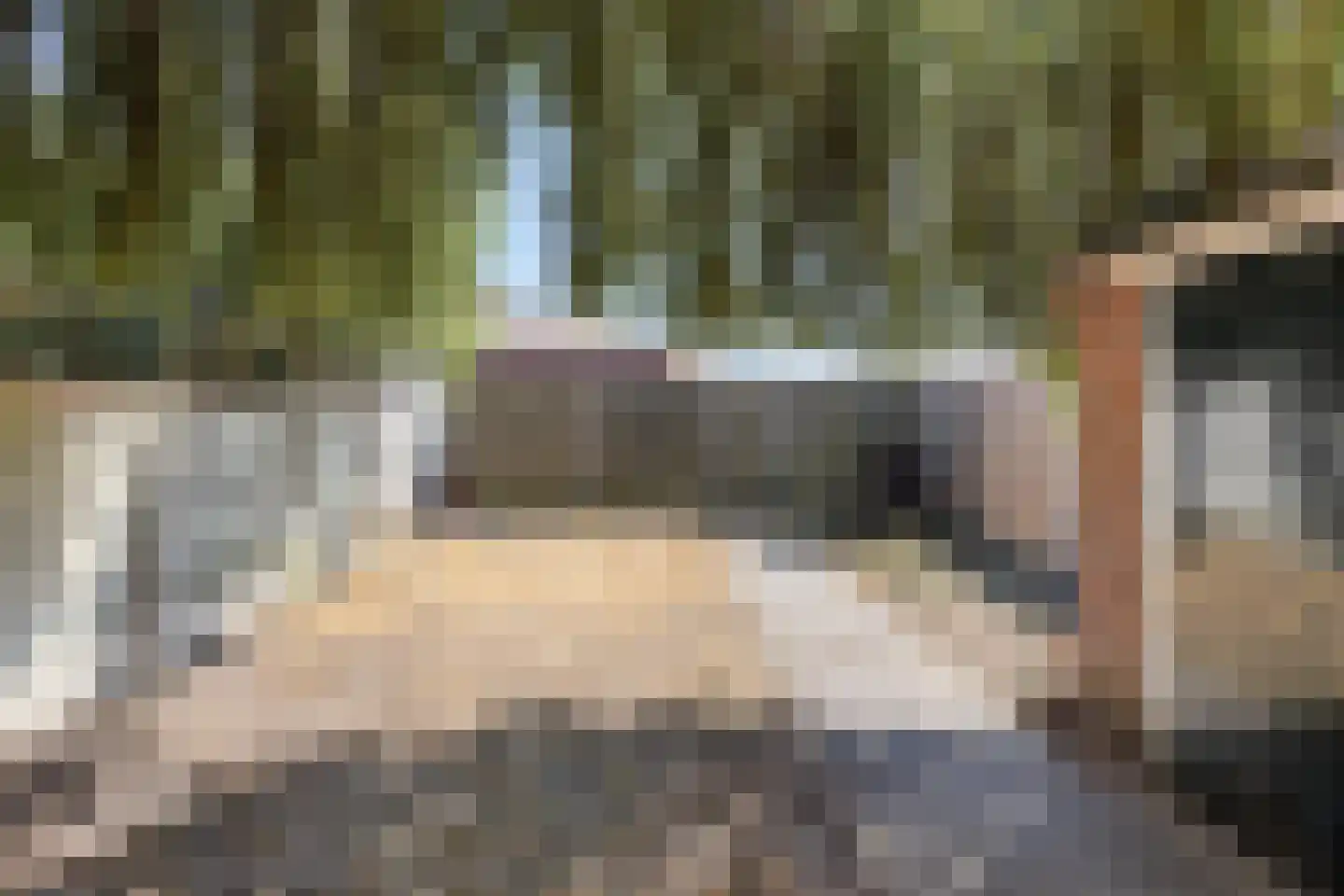 Gentiaanstraat 36 Bergen op Zoom thumbnail 36