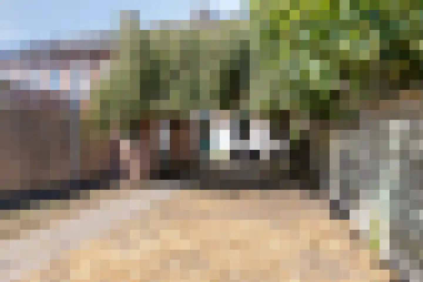 Gentiaanstraat 36 Bergen op Zoom thumbnail 37