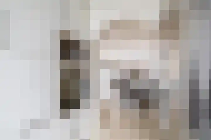 Gentiaanstraat 4 Gouda thumbnail 11