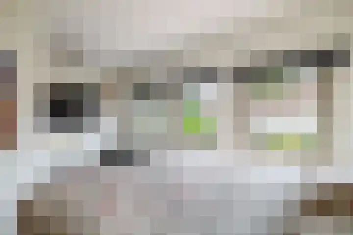 Gentiaanstraat 4 Gouda thumbnail 20