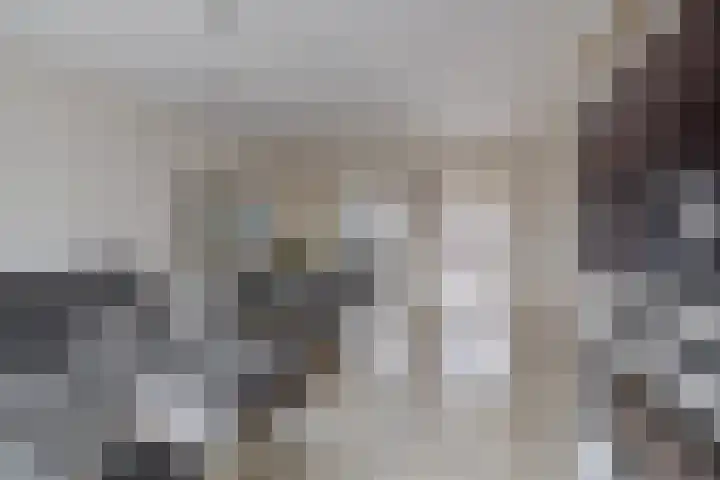 Gentiaanstraat 4 Gouda thumbnail 4